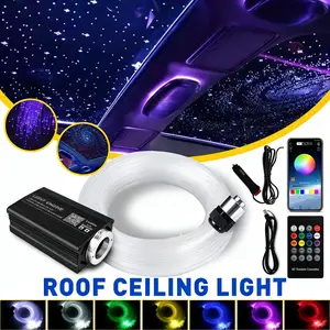 Dual Control Star Light Kit APP+24Key Remote 500pcs Fibers Multiple Effects Adjustable Brightness Speed Sound Sensitivity Led Multicolor