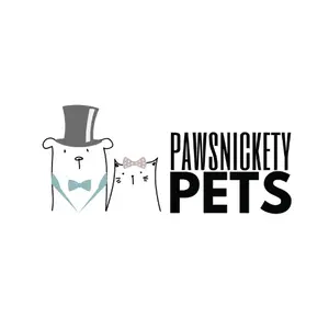 background preload poster image 