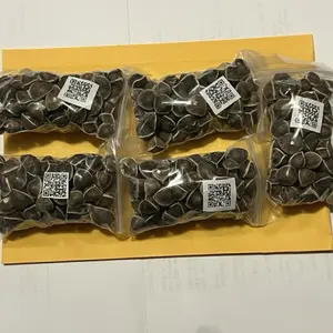 (#1) Premium Moringa Seed Collection: (5) 0.5oz High-Quality Garden Packs