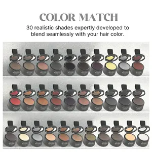 Hairline Shadow Powder, Hairline Filling Powder, Professional Hair Styling Product for Women & Men Daily Use