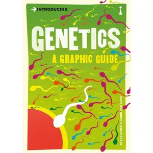 USED-Introducing Genetics: A Graphic Guide by Jones, Steve (Paperback)