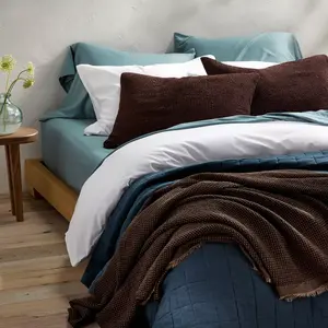 Queen 400 Thread Count Rayon from Bamboo Sheet Set Light Teal Blue - Casaluna