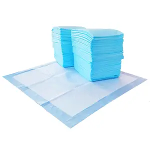 Dog and Puppy Pee Pads with Leak-Proof Quick-Dry Design for Potty Training, Standard Absorbency, Regular Size, 22 x 22 Inches, Pack of 100