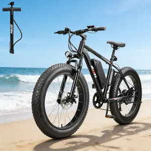 ZNH Fat Tire Ebike for Adults, 1000W Peak Motor, 25MPH Max Speed, 80Miles Range, 24''x4'' Fat Tires, 48V 15AH Battery, Front Suspension, 7-Speed, Disc Brakes, UL 2849 Certified