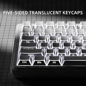 Translucent Keycaps, Pbt Material, Cherry Height, Custom Side-Printed Set, Compatible with 60%, 65%, 75%, 80%, 100% Mechanical Keyboards