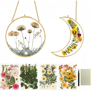 Pressed Flower Frame Kit, Sun and Moon Double Glass  Frames with 68 Dried ,  Botanical Wall Decor DIY Craft Kit for Adults, Flower Lover  for Mother's Day & Birthday