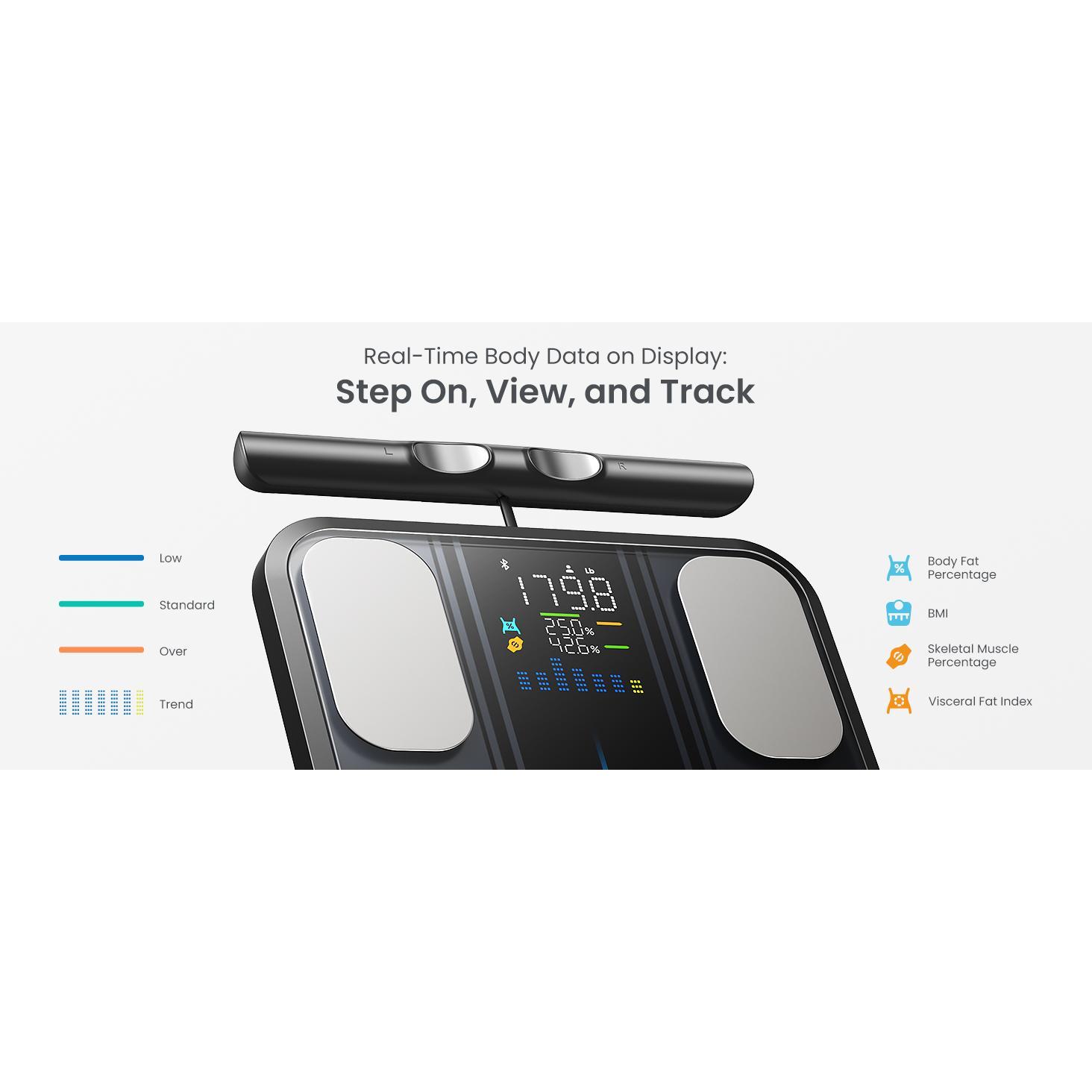 Smart Body Composition Scale