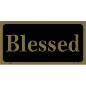 212 MAIN Blessed Custom Aluminum License Plate - 6x12 Factory-Made Vehicle Auto Parts Accessory for Trucks, LP-248, 2619 (Custom License Plates Included)
