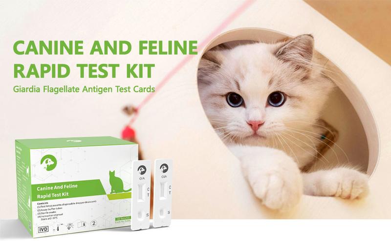 ISENVO 5pcs Canine & Feline GIARDIA Rapid Home Health Test Kit for Dogs & Cats 5 Pack Healthcare Feces Pet Health Quick Accurate Diagnosis Comprehensive Breed Health Test