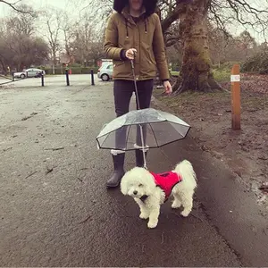 Transparent Pet Umbrella - Lightweight Design, Durable Material, Suitable for Pets, Ideal for Outdoor Use
