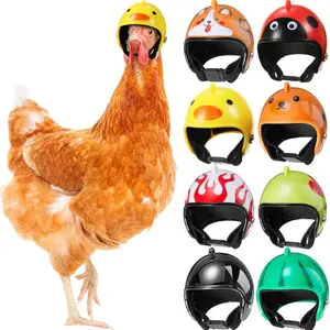 8Pcs Hens Helmet Chicken Pet Safety Helmet Funny Bird Hens Hat Headwear Small Pet Hard Hat Costumes Accessories for Chicken Bird Parrot Parakeet(Animal, Heart, Fruit) - Home Improvement.