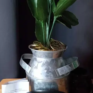 Product Review of ERAZER XT60PRO True Wireless Earbuds with Built-in Microphone，Battery LED Display, IPX5 Waterproof Sports Earphone, Fall Gift from 🙏**🙏