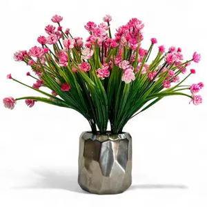 Pink Gypsophilia (Baby’s Breath) Plant - Perfect for Home and Garden Indoor or Outdoor