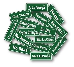 Mexican Slang Edition Street Signs Sticker Pack - 15 Unique Designs - Decor, Decorative Waterproof Vinyl Tiles Sticker Ornaments