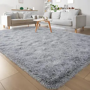 BOOPBEEP Modern Fluffy Shaggy Area Rug, Super Soft And Cozy Rug Non-Slip Plush Carpet, Floor Mat For Home Decor, Rug For Living Room, for Bed Room, Dorm, Room Decor, Back To School Supplies, Accent Rugs And Floor Covering, Fuze Rug, Hot Pink
