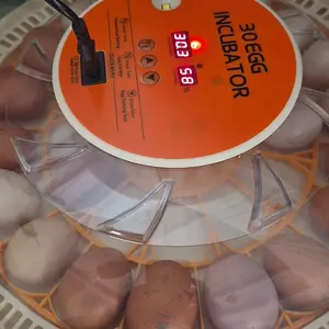 30 Egg Incubator with Automatic Turner, Digital Temperature and Humidity Display, and Built-in Egg Candler for Hatching Chickens, Quail, and Ducks