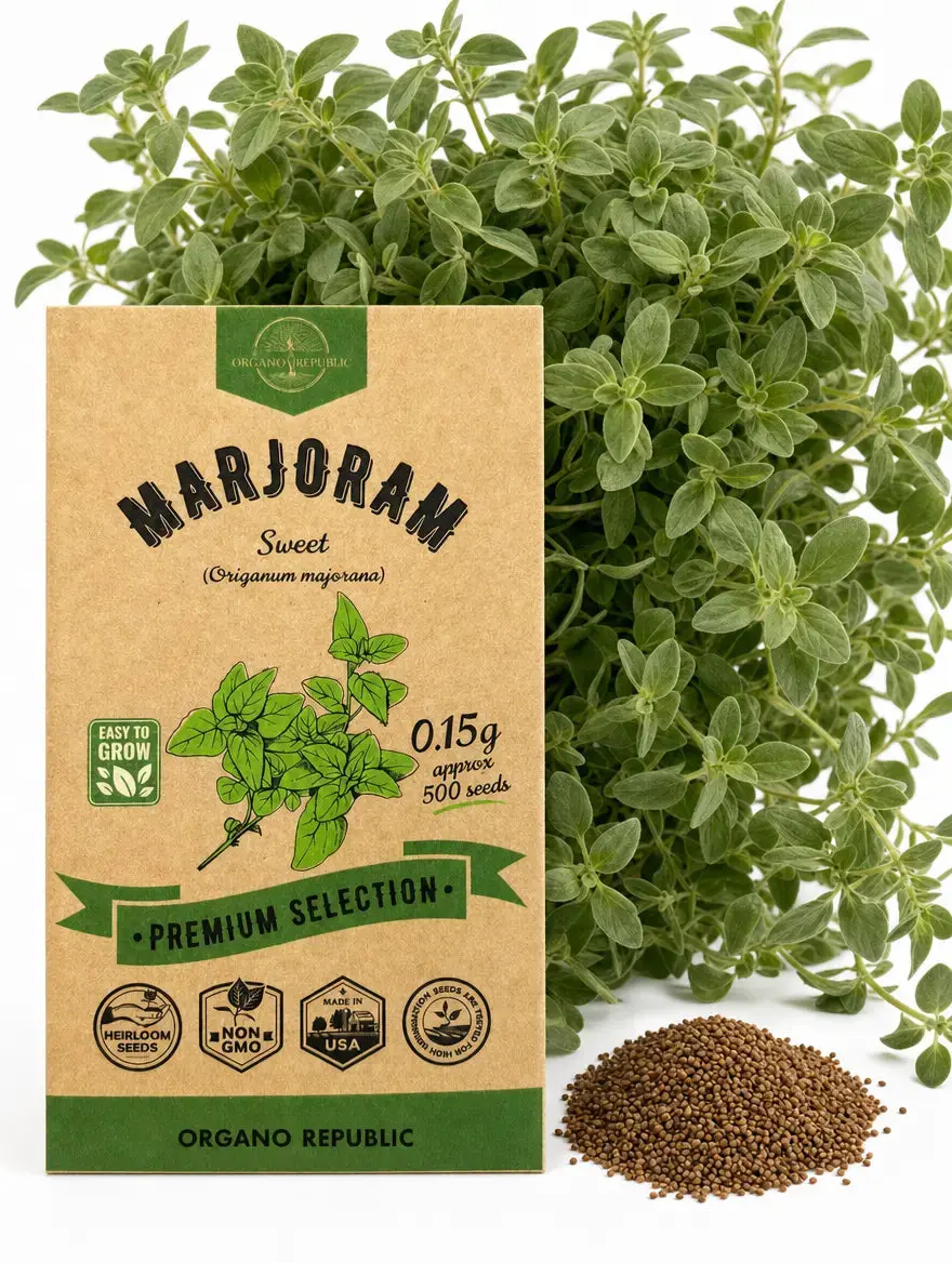 Sweet Marjoram Seeds – Non-GMO Heirloom