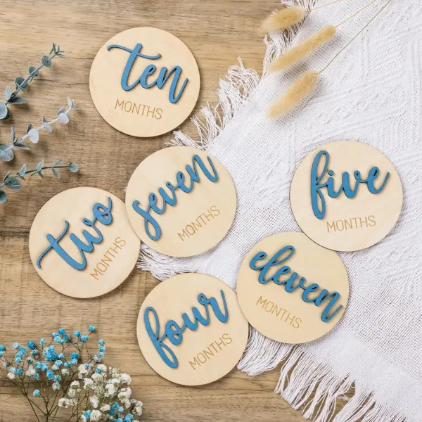 "12PCS Baby Boy Monthly Milestone Wooden Discs – Photo Props & Gifts"