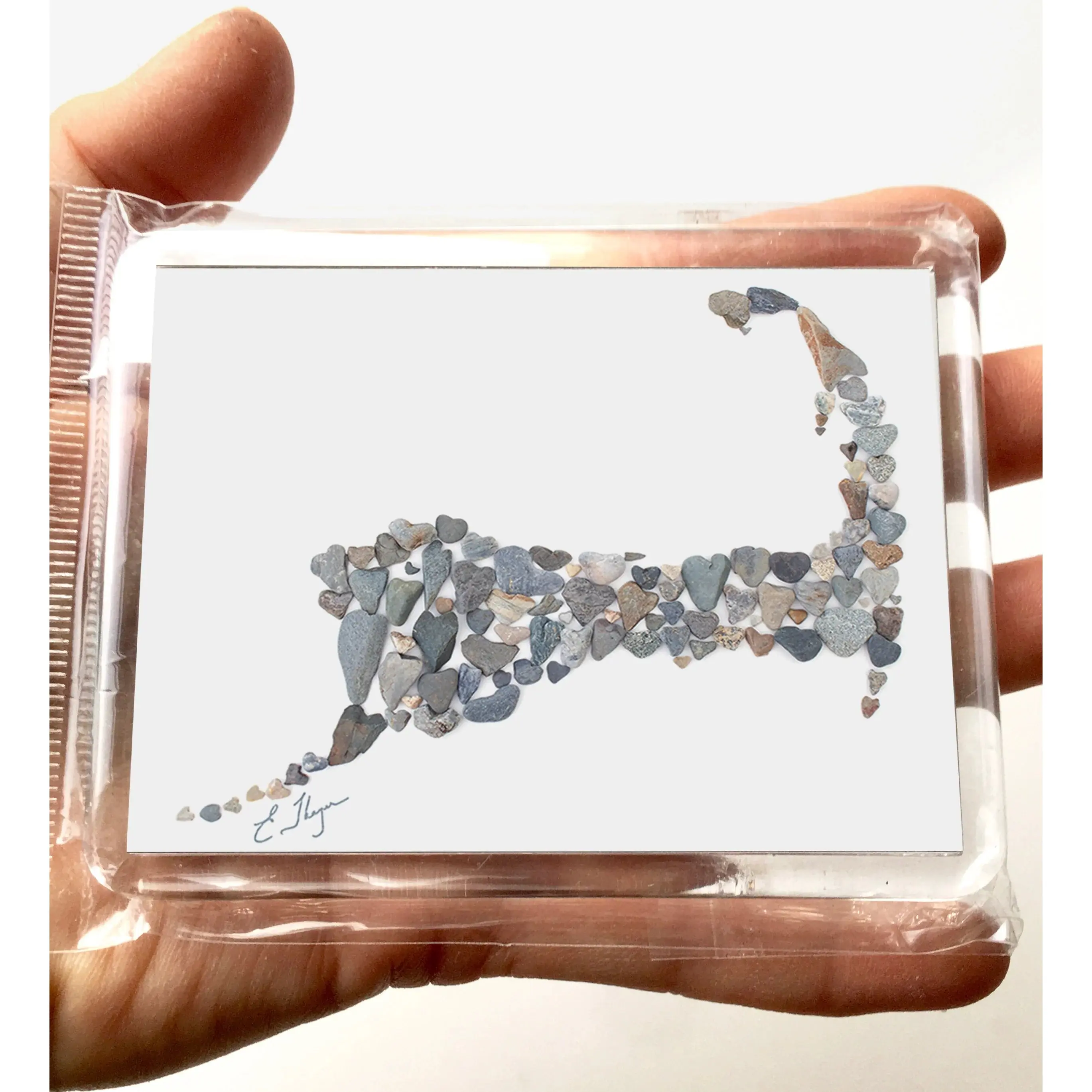 Cape Cod Map Magnet