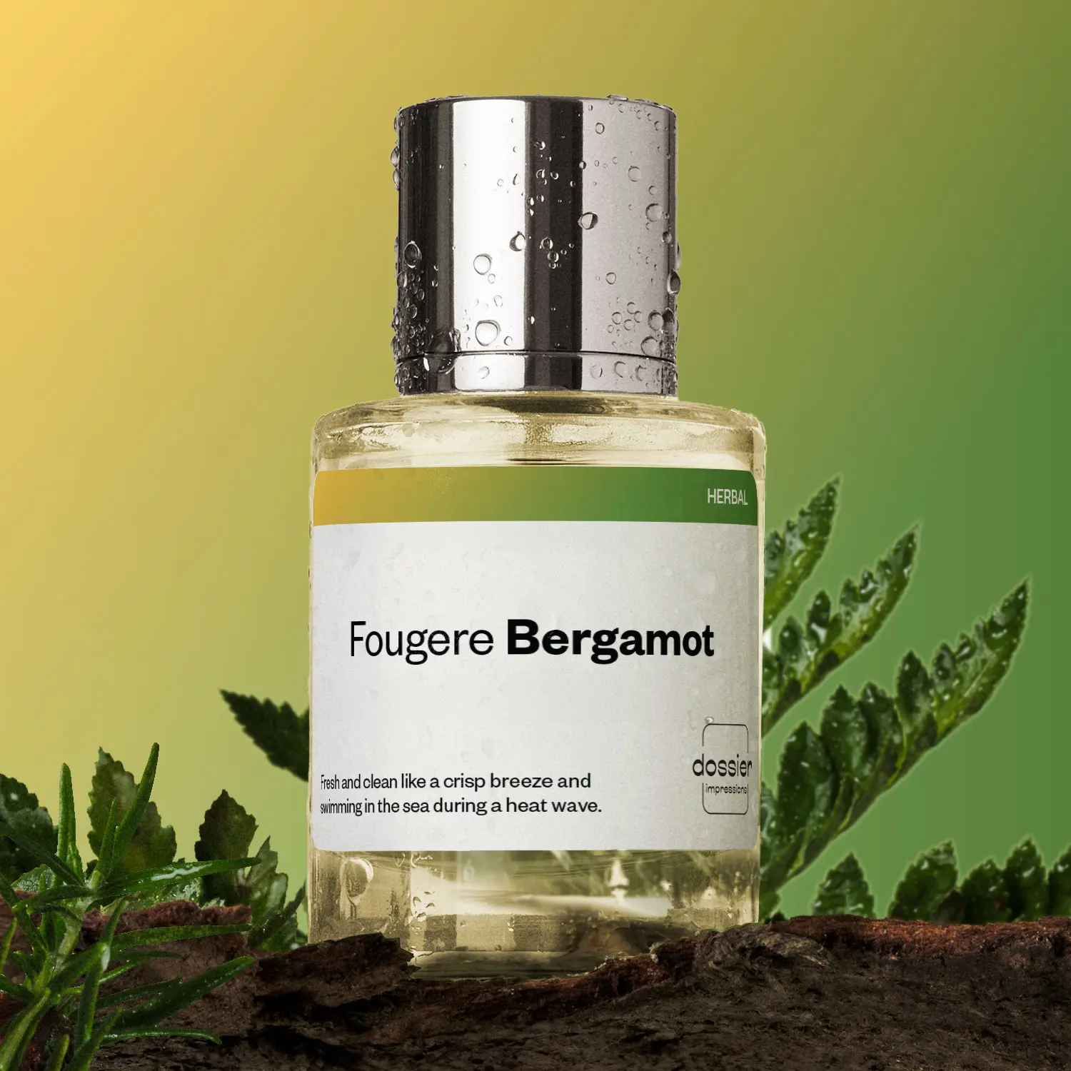 Fougere Bergamot, Dossier, Men Perfume, Eau de Parfum, 50ml, Bergamot, Grapefruit, Fig Leaf, Lavender, Tonka Bean, Patchouli Fougere Bergamot, Dossier, Men Perfume, Eau de Parfum, 50ml, Bergamot, Grapefruit, Fig Leaf, Lavender, Tonka Bean, Patchouli