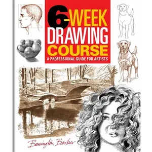 6-Week Drawing Course: A Professional Guide for Artists - Paperback