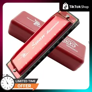 Harmonica Armonica Mouth Organ Blues Harmonica Key of C 10 Hole 20 Tone Polyphony Diatonic Harp with Case for Blues Folk Jazz Pop for Music Student Teacher Teaching Beginner Gift