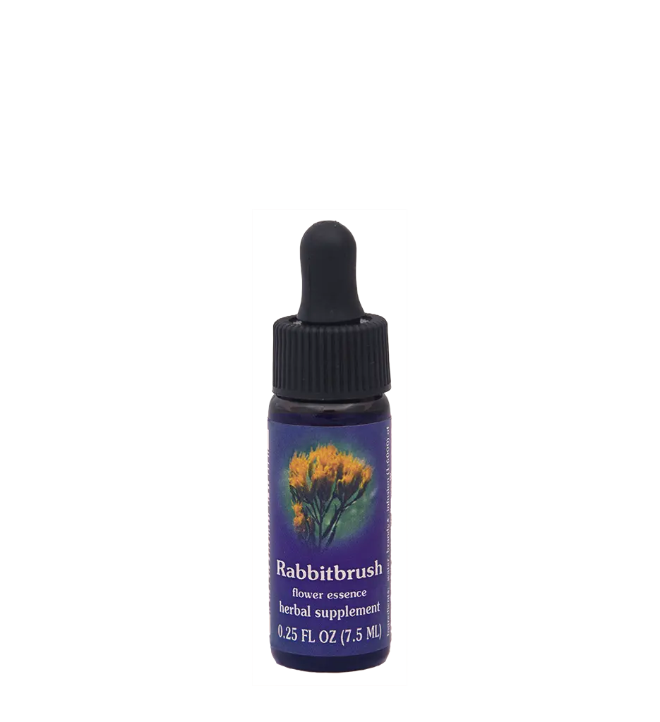 FES Rabbitbrush Flower Botanical Essence - Single Item Herbal Supplement, Natural Floral Aromatherapy Treatment for Health & Brain Support (Alternative Medication)