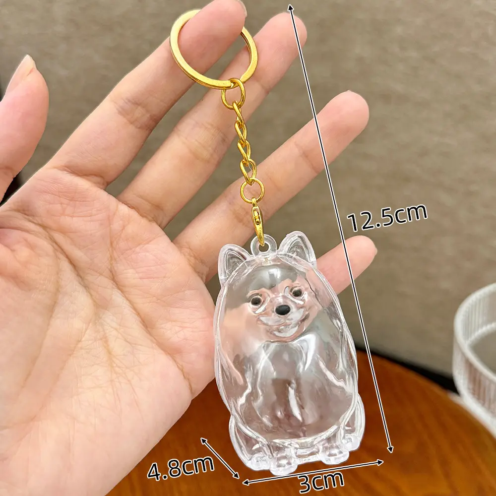 Large Pomeranian [comes with keychain]