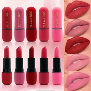 5-Piece Matte Long-Lasting Bullet-Shaped Lipstick Set, Waterproof Multicolor, Includes Gift Box, Perfect for Daily & Party Makeup
