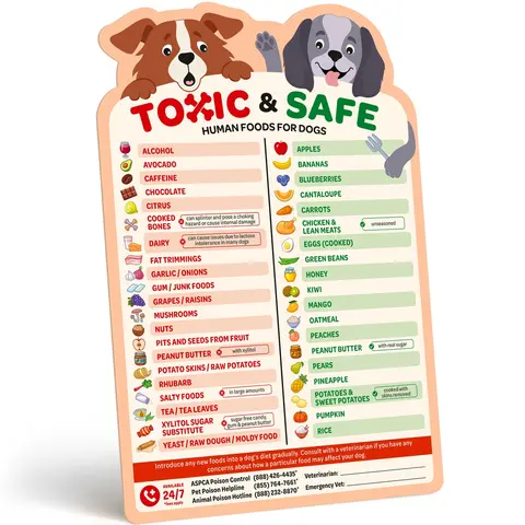 EBPP Colorful Magnetic Rectangular Non-Toxic Lightweight Household Animal Fridge Magnet - Puppy Food Chart, Foods to Avoid List, Safety Emergency Numbers, Local Vets Contact Space, New Puppy Essential Home Decor, Helpful for Children, TikTok Viral Pick