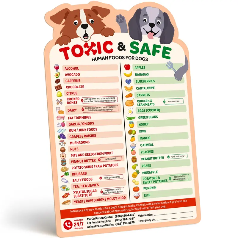 EBPP Colorful Magnetic Rectangular Non-Toxic Lightweight Household Animal Fridge Magnet - Puppy Food Chart, Foods to Avoid List, Safety Emergency Numbers, Local Vets Contact Space, New Puppy Essential Home Decor, Helpful for Children, TikTok Viral Pick