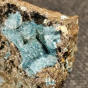 #61 Shattuckite 25mm long Crystals Perky.  From Kunena, Nambia