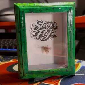 Custom Fly Shadow Box Art with Stay Fly Design and Real Fly Inclusion for Unique Wall Decor