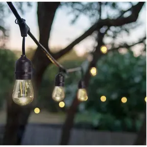 48 Ft Plug-In LED Outdoor String Lights Waterproof- Hanging, Dimmable 2W Vintage Edison Bulbs