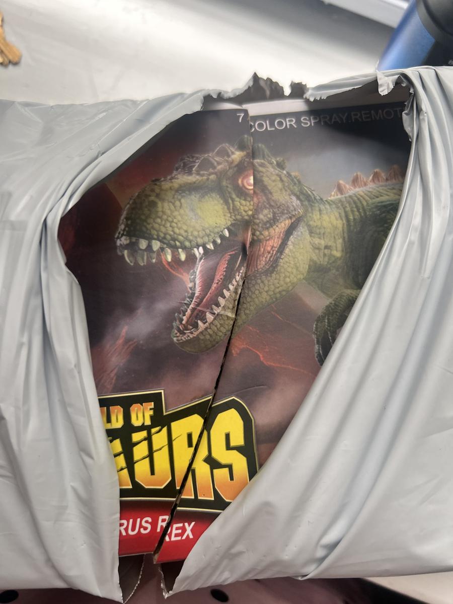 Item: Remote Control T-Rex Dinosaur RC Dinosaur Toy