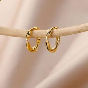 Twist Shape Earrings