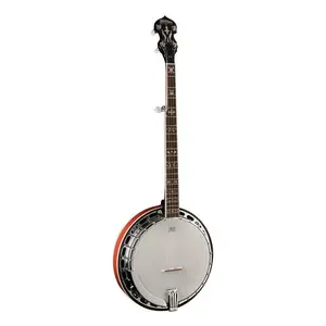 Washburn B16 Americana 5-String Banjo (Tobacco Sunburst) *USA Small Business*