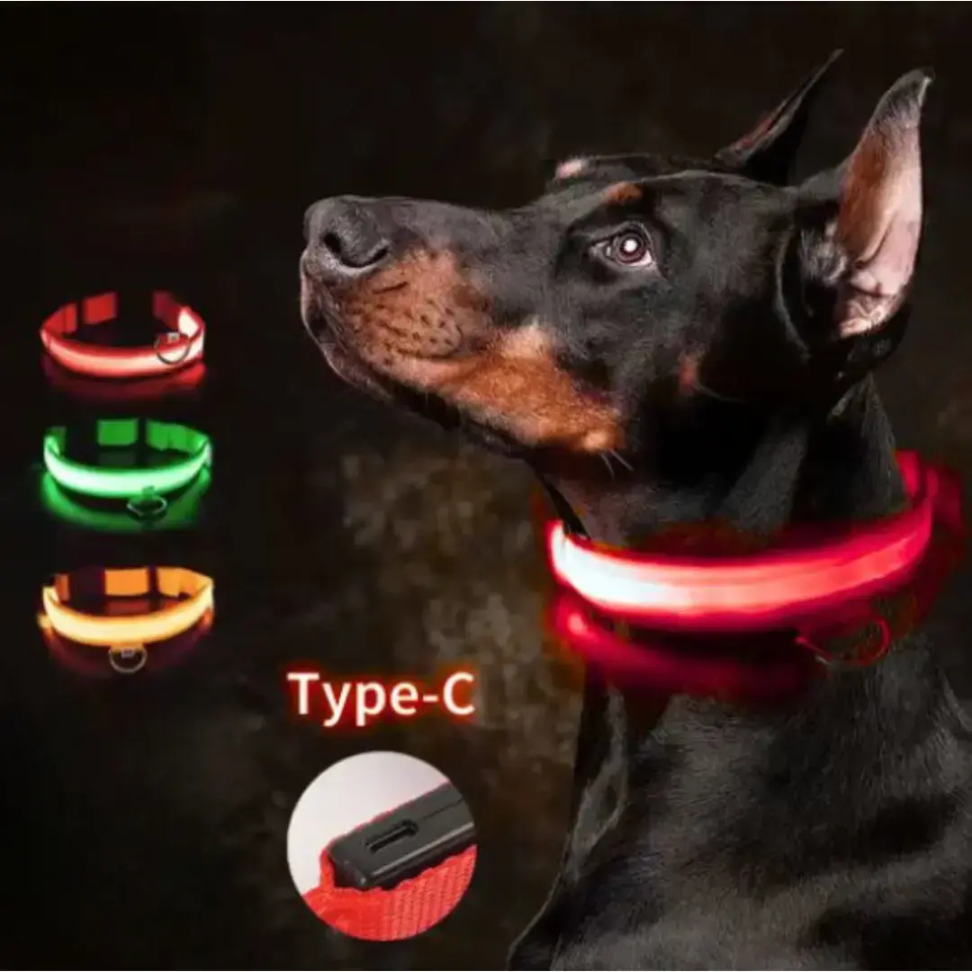 LED Dog Basic Collar, Pet Supplies Dog Accessory with LED Lighting for Canine Identification and Safety