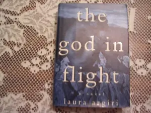 USED-The God in Flight: A Novel by Laura Argiri (Hardcover)