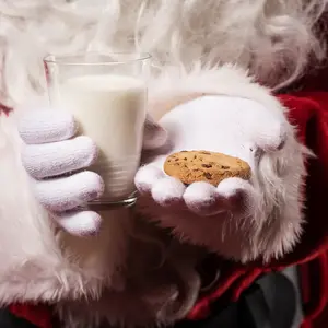 Cookies for Santa Type Fragrance Oil