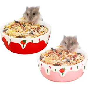 2 Pack Hamster Food Bowl Small Ceramic Water Food Bowl for Cage Small Animal Bowls for Hamster Guinea Pig Chinchilla Rabbit - Red and Pink