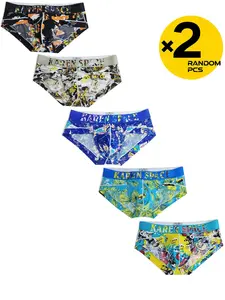 2/3/4 Packs Random Color Men's Low-Rise Triangle Underwear Tropical Print Mesh Bikini New Style Breathable for Home Daily Leisure