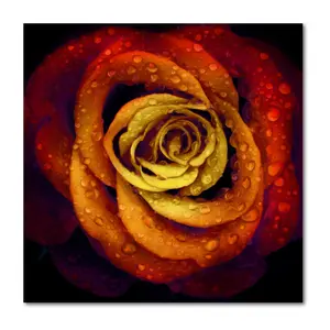 Courtside Market Bright Wet Rose 16 x 16 CanvasWall Art