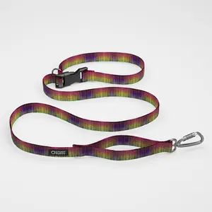 Jammin Dragon Skin Everyday Leash™