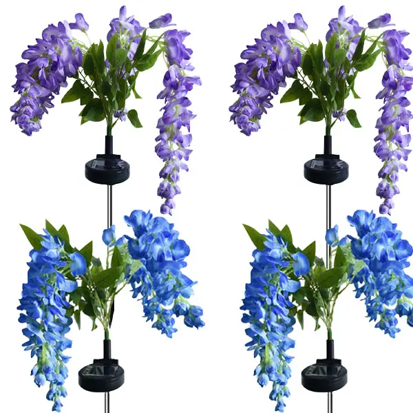 2 purple and 2 blue