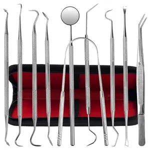 Dental Kit Tools, 10 Pack Stainless Steel Plaque Remover, Dental Tools to Remove Plaque and Tartar, Oral Care Kit with Plaque Cleaner, Tartar Pick, Tooth & Tongue Scraper for Dentist, Personal, Family