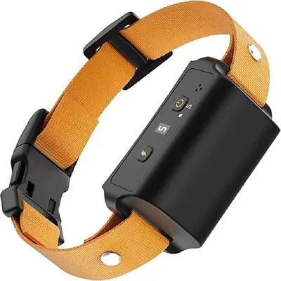 Frayo Dog Collar Amazon - TikTok Shop Frayo Dog Collar Amazon - TikTok Shop