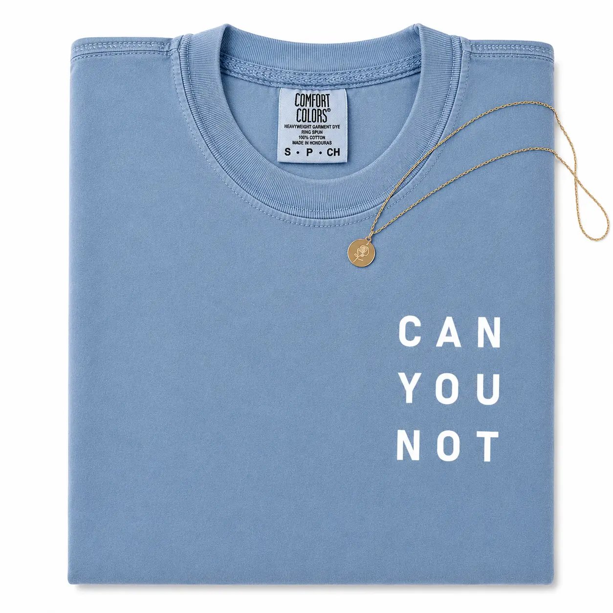 Comfort Colors Can You Not T-Shirt, Soft Cotton Crewneck Shirt for Men and Women, Gift for Him or Her, Unisex Stylish