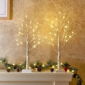 2 FT Birch Tree with LED Lights for Christmas Decor, Warm White Lighted Spirit Tree for Home Decor Indoor, Battery Powered, Timer (2PK)
