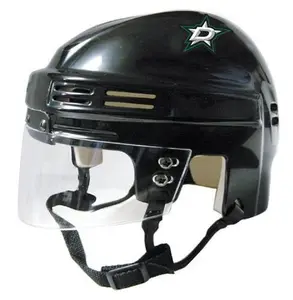 Dallas Stars - NHL Collectible Mini Helmet - Picture Inside - FANZ Collectibles